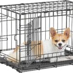 MidWest Homes for Pets XS LifeStages Double Door 22-Inch Folding Dog Crate, Enhanced Security, Includes Leak-Proof Pan, Divider Panel, Handle, Rubber Feet