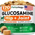 Glucosamine for Dogs - Hip and Joint Supplement for Dogs - 170 Mobility Chews - Glucosamine Chondroitin - MSM - Turmeric - Joint Pain Relief - Advanced Support for Dog Health - Made in USA