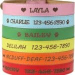 Custom Catch Personalized Dog Collar - Engraved Soft Leather in XS, Small, Medium or Large Size, ID Collar, No Pet Tags or Embroidered Names
