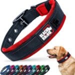 Black Rhino Large Dog Collar - Heavy Duty Adjustable Tactical Dog Collar with Reflective Stitching - 19"-23" Ultra-Soft Neoprene Padded and Weatherproof - Comfortable for Active Dogs - Red and Black