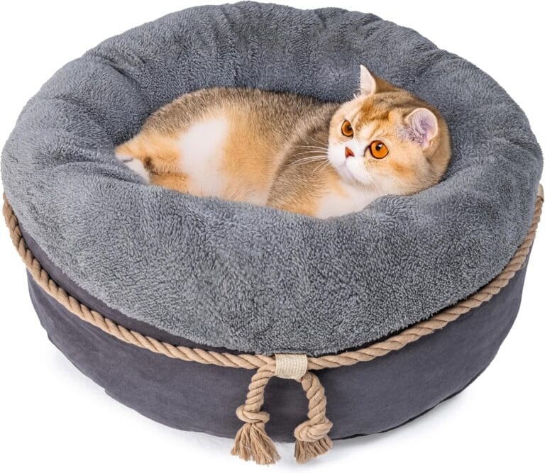 pesen Cat Bed & Small Dog Bed with Supportive Walls, Thick Bottom, Calming Donut Shape, Soft Durable Fabric, 20x20x10 Cat Beds for Indoor Cats
