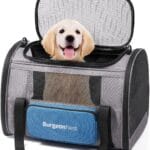 BurgeonNest Cat Carrier for Large Cats 20 lbs, Soft-Sided Pet Carrier for Small Dogs Medium Puppy Under 25 lbs, Puppy Travel Bag with Big Storage Bag, 4 Ventilated Windows, 3 Doors