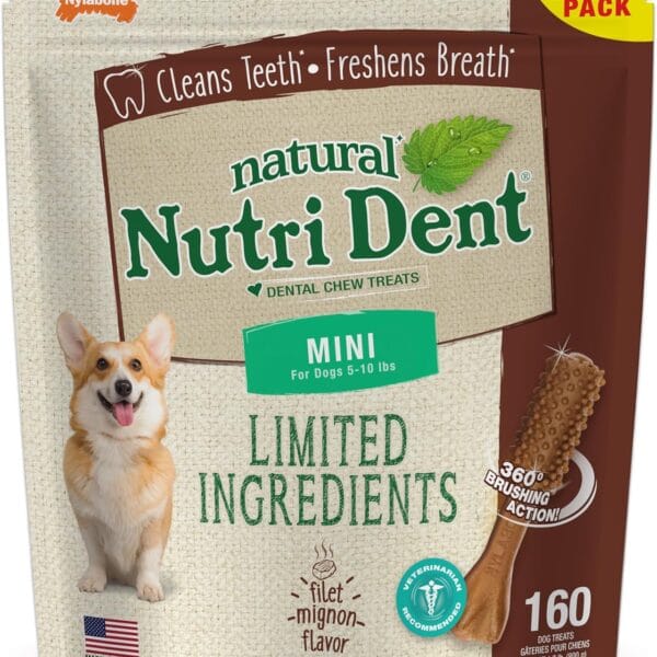 Nylabone Nutri Dent Dog Dental Chews - Natural Dog Teeth Cleaning & Breath Freshener - Dental Treats for Dogs - Filet Mignon Flavor, Mini (160 Count)