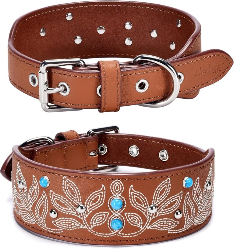 Blueberry Pet Genuine Leather Dog Collar - Western-Inspired Brown Leather Dog Collar for Large Dogs with Floral Embroidery & Turquoise Studs, 18-22 Inch Adjustable & Durable for City Pet Owners