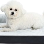 Amazon Basics Washable L-Shaped Dog Bed for Small Dogs, Anti-Slip Pet Sofa Bed for Indoor Dogs, Crate Bed, 30x20x6.5 Inches, Gray, Small