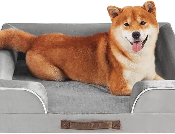 Friends Forever Orthopedic Dog Bed for Medium Dogs, Waterproof Memory Foam Dog Sofa Bed M with Removable Washable Cover, Ally Grey, 28x23x6.5