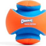 Chuckit! Kick Fetch Ball Dog Toy - Floats in Water - Perfect for Interactive Play - Made with Durable Rubber and Foam - For Large Dogs - Size Large - 8-inch Diameter - Pack of 1