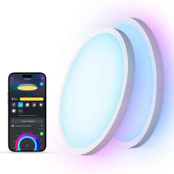 Govee Smart Ceiling Light, RGBIC LED Ceiling Light Fixture, 2400LM Flush Mount Light Fixture, DIY Colors, Works with Alexa, 2200K-6500K Ceiling Lights for Bedroom, Living Room, 12 Inch, 2 Packs
