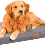 Waterproof XLarge Dog Beds for Large Sized Dogs - Orthopedic Dog Bed Washable Crate Pad, Egg Crate Foam Pet Bed Mat with Removable Cover, Anti-Slip Kennel Pad, 41''27'', Grey