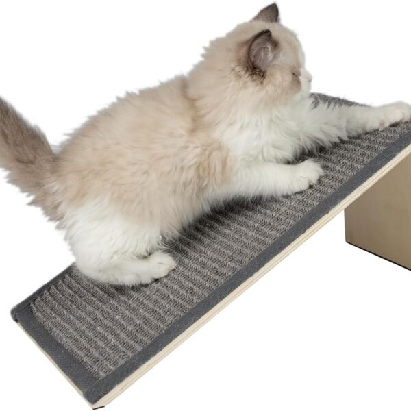 Best Pet Supplies Catify Cat Scratcher, Fun Interactive Scratchers, Posts, Poles, Claw Safe, Furniture Saver Indoor Play Support Natural Cat Behaviors Heavy Duty - Ramp (Gray)