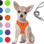 Puppy Harness and Leash Set- XS and Small Dog Harness- Soft Mesh Halter- Adjustable Reflective Teacup Dog Harness- No Pull No Choke (XS, Orange)