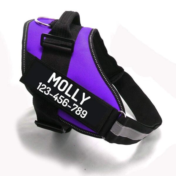 PawPawify Custom No Pull Dog Harness with Name and Phone Number, Heavy Duty Personalized Pet Vest to Prevent Tugging, Pulling, or Choking, Training and Walking (Purple, M (20-40 LBS))