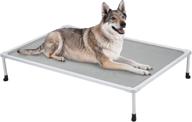 Veehoo Chewproof Elevated Dog Bed - Cooling Raised Pet Cot, Breathable Mesh, Washable & Non-Slip for Large Dogs, Indoor/Outdoor, Grey Mat and Silver Metal Frame, 49x33inches (Model CWC2203B03)