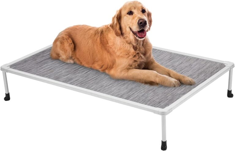 Veehoo Chewproof Elevated Dog Bed - Cooling Raised Pet Cot, Breathable Mesh, Washable & Non-Slip for large Dogs, Indoor/Outdoor, Black Silver Mat and Silver Metal Frame, 42x30inches (Model CWC2203B03)