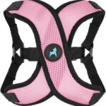 Gooby Comfort X Step in Lite Dog Harness - Choke Free, Escape Free with Light Breathable Mesh - Step in Dog Harness for Small Dogs Only - Quick Release Buckle, Metal D-Rings - Pink, X-Small
