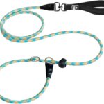 Patas Lague Slip Lead Dog Leash for Dogs, Heavy Duty Highly Reflective Premium Quality Training Slip Loop Leash with 360 Swivel Metal Hook and Comfortable Handle(1/2" x 6 FT, Teal)