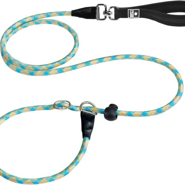 Patas Lague Slip Lead Dog Leash for Dogs, Heavy Duty Highly Reflective Premium Quality Training Slip Loop Leash with 360 Swivel Metal Hook and Comfortable Handle(1/2" x 6 FT, Teal)