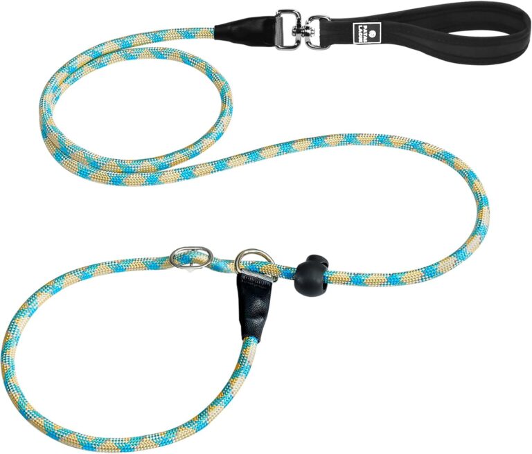Patas Lague Slip Lead Dog Leash for Dogs, Heavy Duty Highly Reflective Premium Quality Training Slip Loop Leash with 360 Swivel Metal Hook and Comfortable Handle(1/2" x 6 FT, Teal)