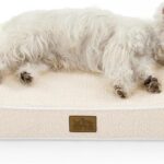 Orthopedic Dog Bed for Medium Dogs up to 65 lbs - Removable Washable Cover with Waterproof Lining & Non-Skid Bottom, Cotton-Polyester Blend Boat-Shaped Lounger Mattress, M(36x24x5.5in)/Beige
