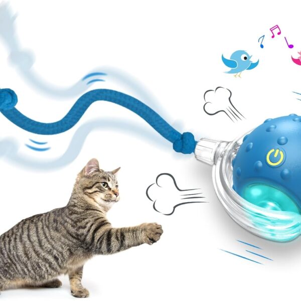 Interactive Cat Toys Ball for Indoor Cats Fast Rolling on Carpet, Chirping & Motion Activate Cat Toys (Blue)