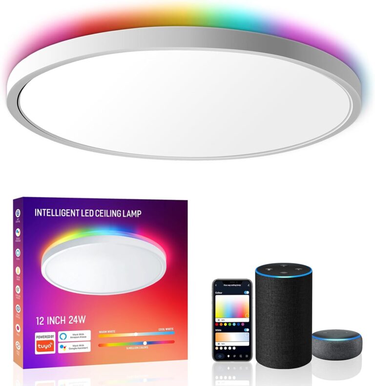 MELEGAN Smart Led Ceiling Light Flush Mount, 12 Inch 24W Ceiling Light Fixture Dimmable 2700K-6500K, RGB Ambient Light Fixture WiFi Compatible with Alexa Google Home for Bedroom Living Room