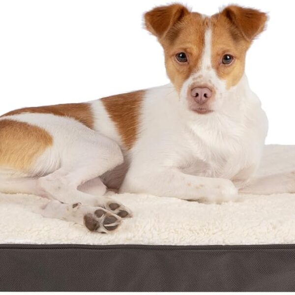 Best Pet Supplies Dog House Bed Crate Mat Tent Indoor Round Soft Plush for Small, Medium, and Large Breeds - Brown, 30 x 20 x 3