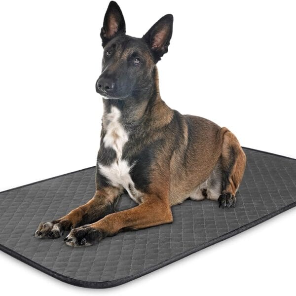 Chew Proof Dog Crate Bed Pad, Enhanced Quilted Indestructible Dog Kennel Pad for Aggressive Chewers, Washable Dogs Mat for Crate, Water Resistant Kennel Pads for Teething Puppy (Gray, 23"x18")