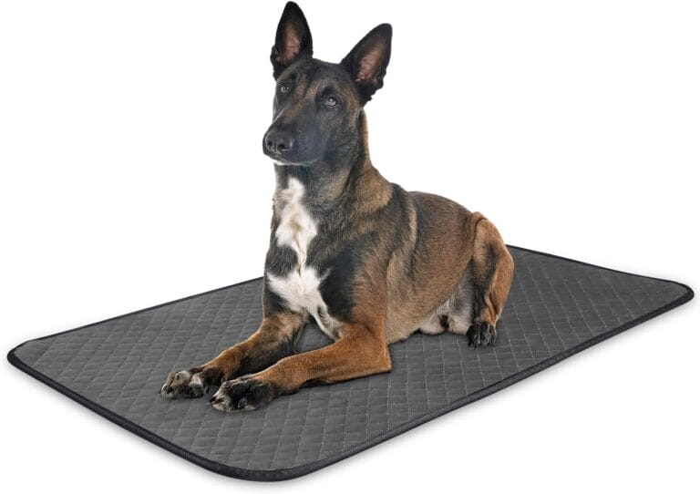 Chew Proof Dog Crate Bed Pad, Enhanced Quilted Indestructible Dog Kennel Pad for Aggressive Chewers, Washable Dogs Mat for Crate, Water Resistant Kennel Pads for Teething Puppy (Gray, 23"x18")