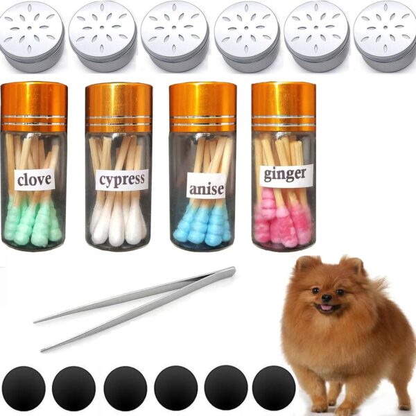 Dog Scent Work Starter kit Available in Anise, Birch, Clove vetiver Flavour Scent Training kit, Nose Work, Dogs scentwork Pure Oil-Jars Sets (4 Jars+6 Magnetic Box)