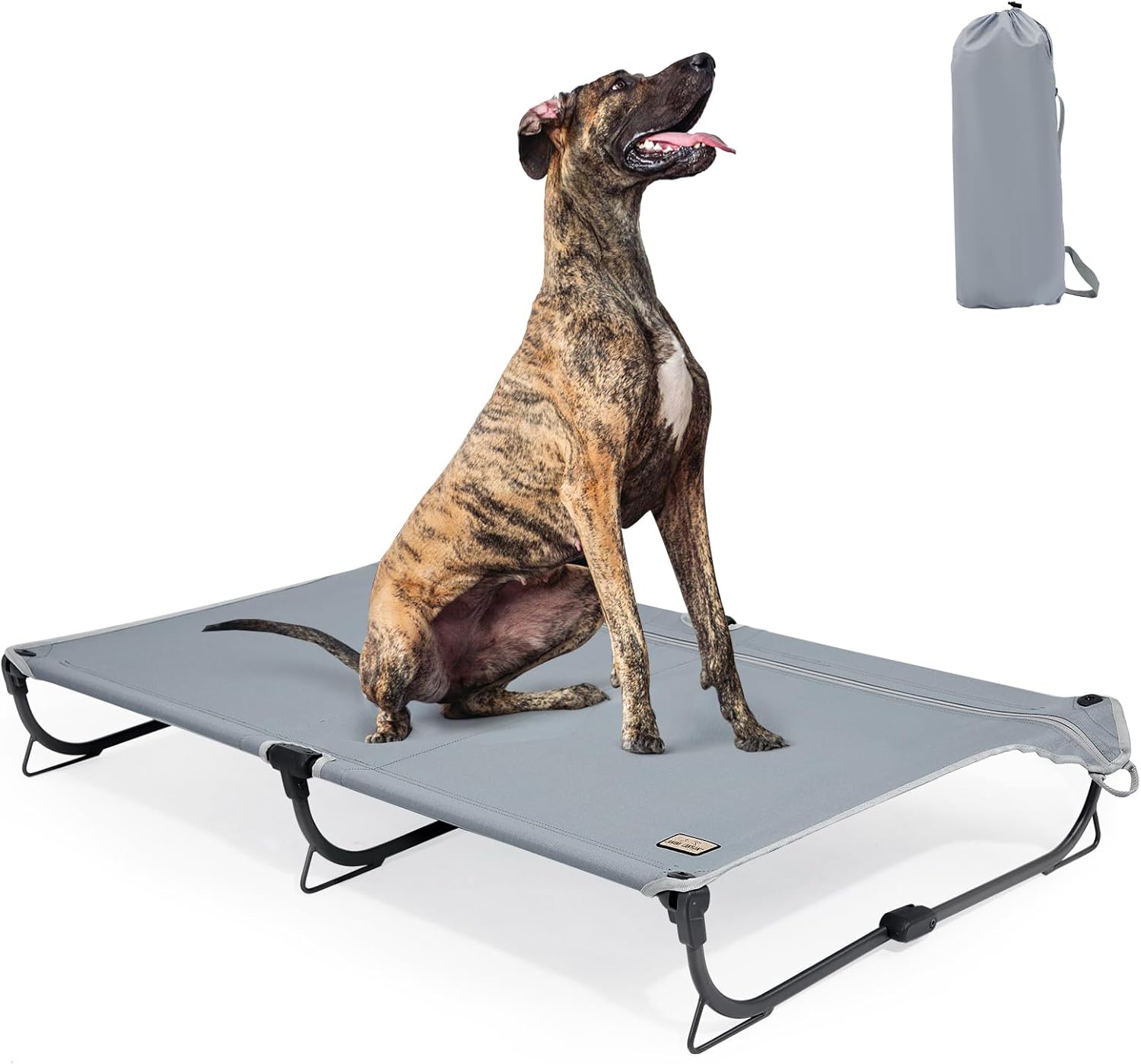Daisy Cot, XL Foldable Elevated Dog Bed, Portable Raised Outdoor Folding Dog Cots, Cooling, Chew Proof, Waterproof, Heavy Duty Up to 160 lbs for Camping/Home, Grey, 49"x 33"x7" Daisy Cot, XL Foldable Elevated Dog Bed, Portable Raised Outdoor Folding Dog Cots, Cooling, Chew Proof, Waterproof, Heavy Duty Up to 160 lbs for Camping/Home, Grey, 49"x 33"x7"