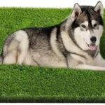 Artificial Grass, Professional Dog Grass Mat, Potty Training Rug and Replacement Turf Outdoor Rug Patio Lawn Decoration, Easy to Clean with Drainage Holes(47.3x31.5 inches)