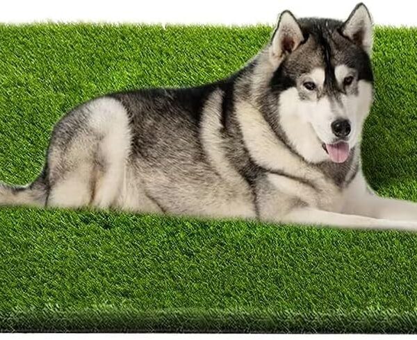 Artificial Grass, Professional Dog Grass Mat, Potty Training Rug and Replacement Turf Outdoor Rug Patio Lawn Decoration, Easy to Clean with Drainage Holes(47.3x31.5 inches)