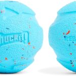 Chuckit! Rebounce Ball Dog Toy - Bouncy Fetch Balls for Dogs 20-60 lbs - Made from Durable Rubber - Outdoor Pet Toys - Size Medium - 2.5-inch Diameter - Pack of 2 - Blue