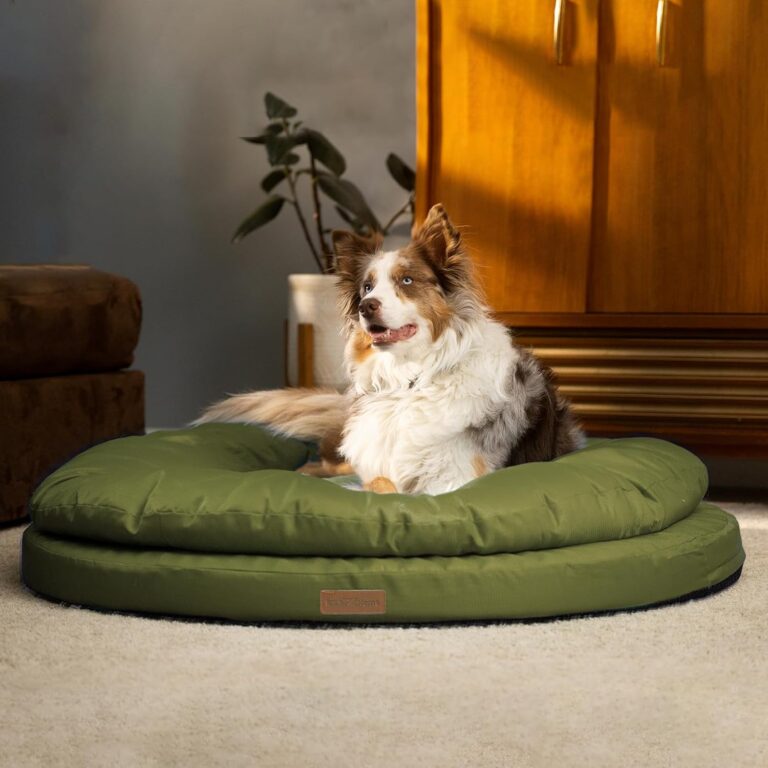 ClevaHome Orthopedic Dog Bed for Large Dogs, 36 inches Dual Layer Water Repellent Round Pet Bed with Washable Cover Nonslip Bottom (Olive Branch)