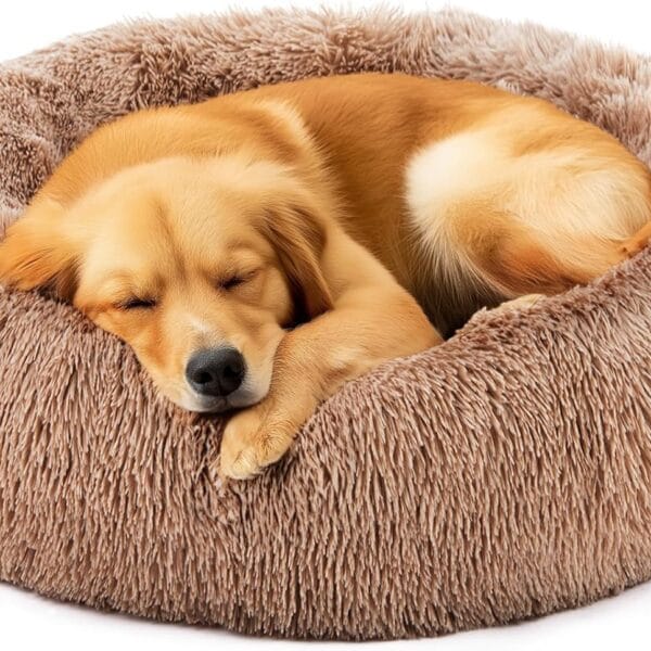 DUMOS Donut Dog Bed, Washable Dog Couch Bed with Removable Cover, Waterproof Pet Bed for Small Size Dogs, Memory Foam Pet Bed Non-Slip Base, Brown