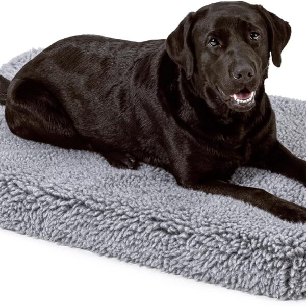 Stoutwool 4" Indestructible Dog Bed - Orthopedic Chew Proof Dog Crate Pad - Fluffy Kennel Mat for Aggressive Chewers - Ideal for Large Breeds & Fits 42-Inch Crate - 41"x27", Charcoal