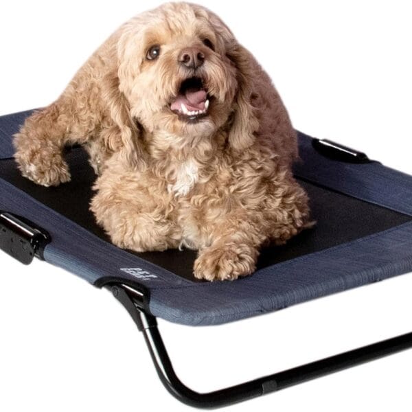 Pet Gear Lifestyle Pet Cot Elevated Bed, No Assembly Required, Premium Tear Resistant Cooling Mesh, Indoor & Outdoor, Lightweight & Portable, 3 Models, 2 Colors