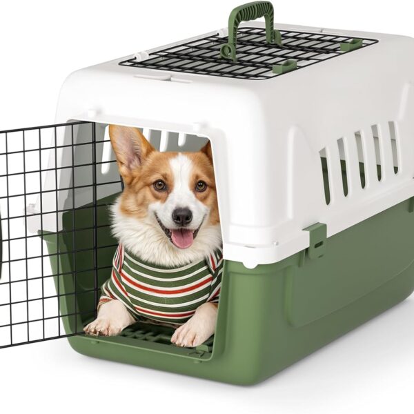 Magshion Pets Plastic Carrier, 22-Inch Hard-Sided 2-Door Top-Loading Kennel for Small Dogs and CatsLonger Traveling, Durable Handle, and 4 Sides Ventilation for Pet Up 22 lbs (White+Green)