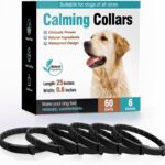 Calming Collar for Dogs 6 Packs Dog Calming Pheromones Collar Separation Anxiety and Stress Relief Anti Anxiety 60 Days Calm Pheromone Collars for Small Medium Large Dogs 25 Inch Adjustable Waterproof