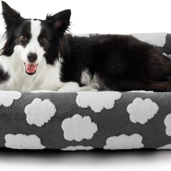 JOEJOY Medium Dog Bed Medium Size Dog, Rectangle Washable Orthopedic Pet Bed with Removable Zipper Cover, Cute Soft Calming Puppy Pet Bed with Jacquard Shaggy Plush & Non Skid Bottom
