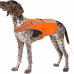 Reflective Dog Vest for Medium Large Breeds, High Visibility Dog Safety Vest with Removable Bell Keep Safe from Hunting, Training & Cars Accidents