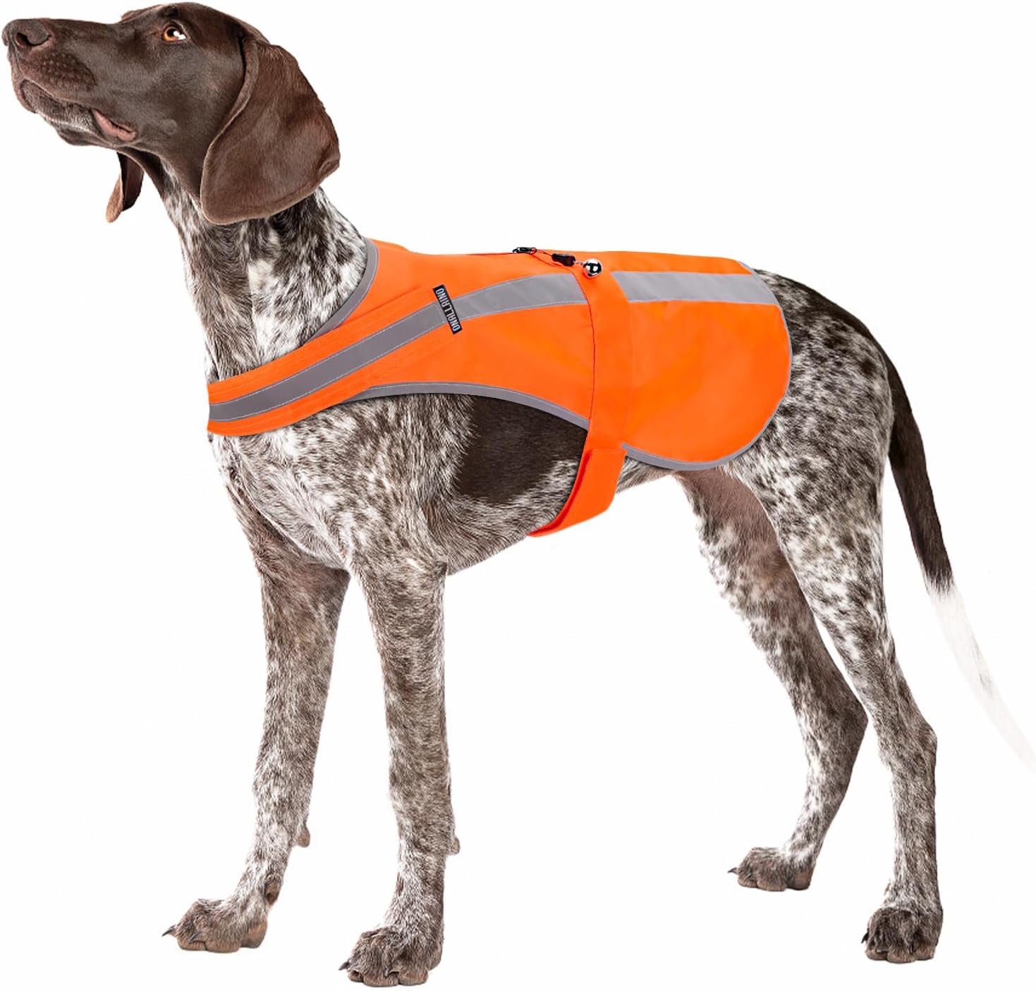 Reflective Dog Vest for Medium Large Breeds, High Visibility Dog Safety Vest with Removable Bell Keep Safe from Hunting, Training & Cars Accidents Reflective Dog Vest for Medium Large Breeds, High Visibility Dog Safety Vest with Removable Bell Keep Safe from Hunting, Training & Cars Accidents
