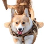 DELIFUR Dog Halloween Costume Funny Dog Cowboy Riding Costume Pet Costume Cat Suit Cowboy Rider Style for Small Medium Large Dogs (Primitive Man, Small)