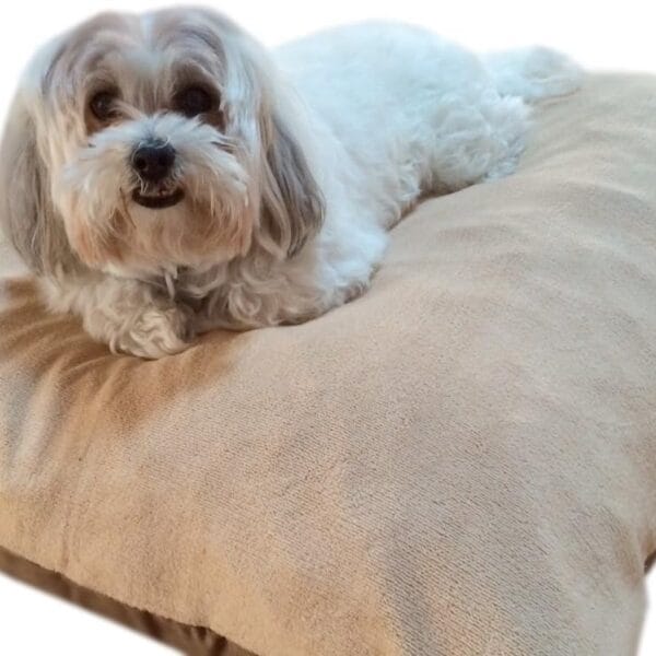 Durable Comfort Micro-Cushion Memory Foam Pet Dog Pillow Bed with Waterproof Liner + External Cover for S,M,L Dogs- Complete Set (Beige Coral Fleece, 36''x29'')