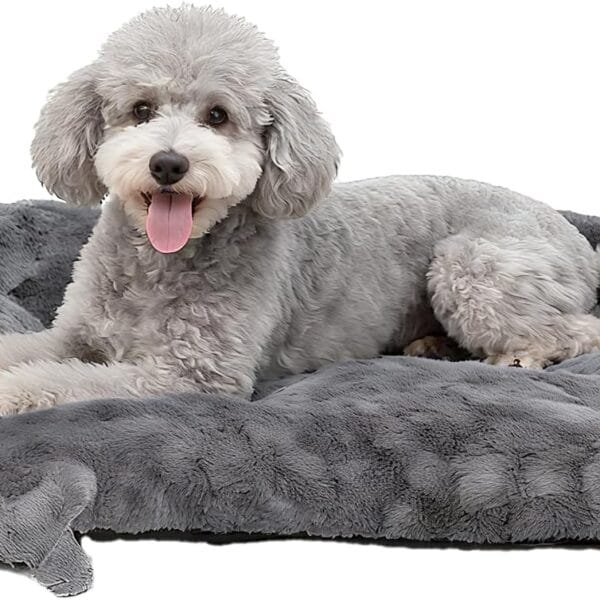 Fluffy Dog Bed for Medium Dogs - Machine Washable Dog Crate Bed, Ultra-Soft Plush Pet Kennel Pad with Non-Slip Bottom, Includes Chew Bone Toy, 30x20inch, Dark Gray