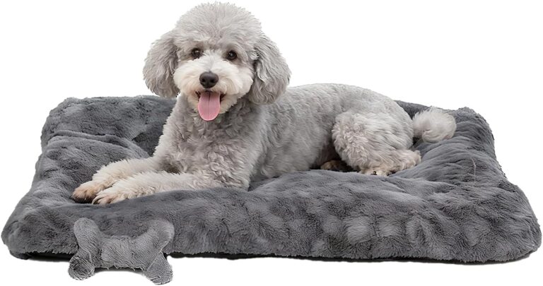 Fluffy Dog Bed for Medium Dogs - Machine Washable Dog Crate Bed, Ultra-Soft Plush Pet Kennel Pad with Non-Slip Bottom, Includes Chew Bone Toy, 30x20inch, Dark Gray