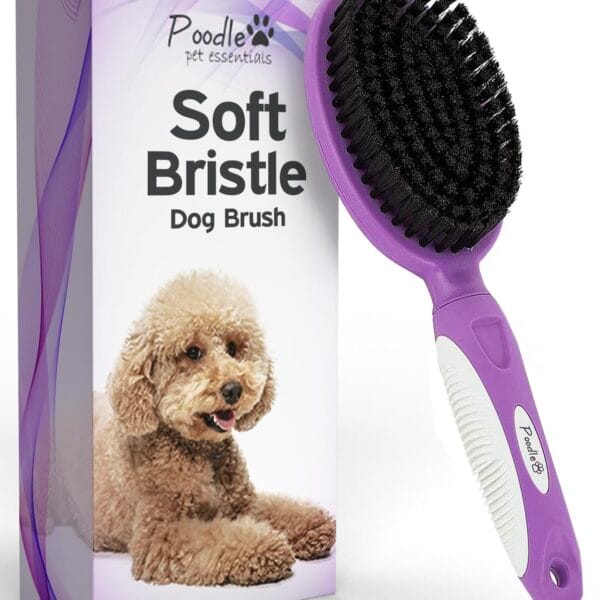Soft Bristle Dog Brush For Short Haired Cats Or Dogs - Firm Bristles To Remove Dust, Dirt, And Loose Fur - Hook And Rubber Handle