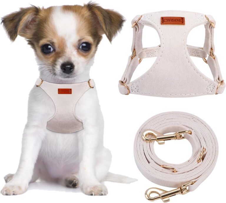 CHEDE No Pull Puppy Harness and Multifunction Dog Leash Set- 8 Colors Soft Adjustable No Choke Escape Proof Cute,Lightweight Pet Vest Harness for Small and Medium Dog