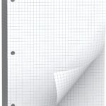 Loose Leaf Graph paper 8 x 10.5, Graph Ruled Paper, 3 Hole Punched Paper, 4 x 4 Quad Ruled Graph Paper, 10-1/2" x 8" Filler Paper Notebook Paper, 120 Sheets Graphing Paper for Business Home School