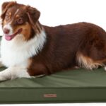 LE SURE Outdoor Waterproof Dog Bed Medium Size Dogs, Orthopedic Egg Crate Foam Pet Bed with Oxford Fabric Surface and Removable Washable Cover, Pet Mat 30''x20'', Green